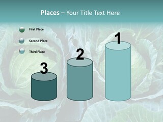 Cabbage Fresh Vegetable PowerPoint Template