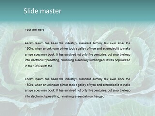 Cabbage Fresh Vegetable PowerPoint Template