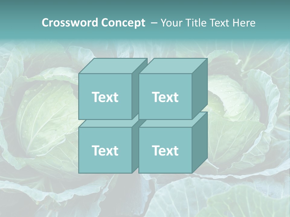 Cabbage Fresh Vegetable PowerPoint Template