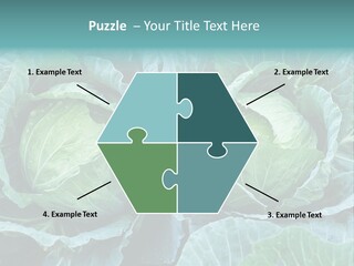 Cabbage Fresh Vegetable PowerPoint Template