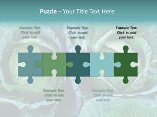 Cabbage Fresh Vegetable PowerPoint Template