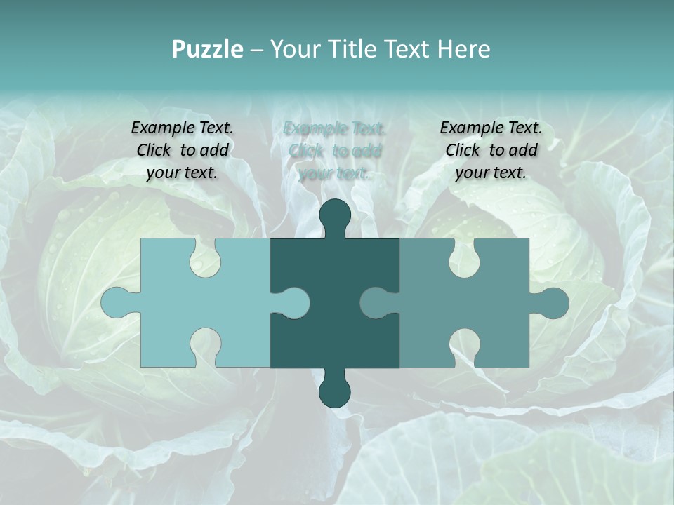 Cabbage Fresh Vegetable PowerPoint Template