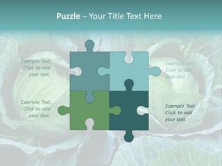 Cabbage Fresh Vegetable PowerPoint Template