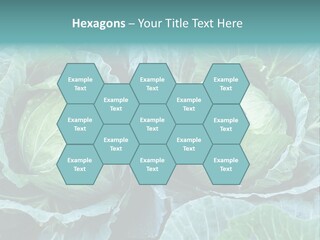 Cabbage Fresh Vegetable PowerPoint Template