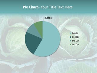 Cabbage Fresh Vegetable PowerPoint Template