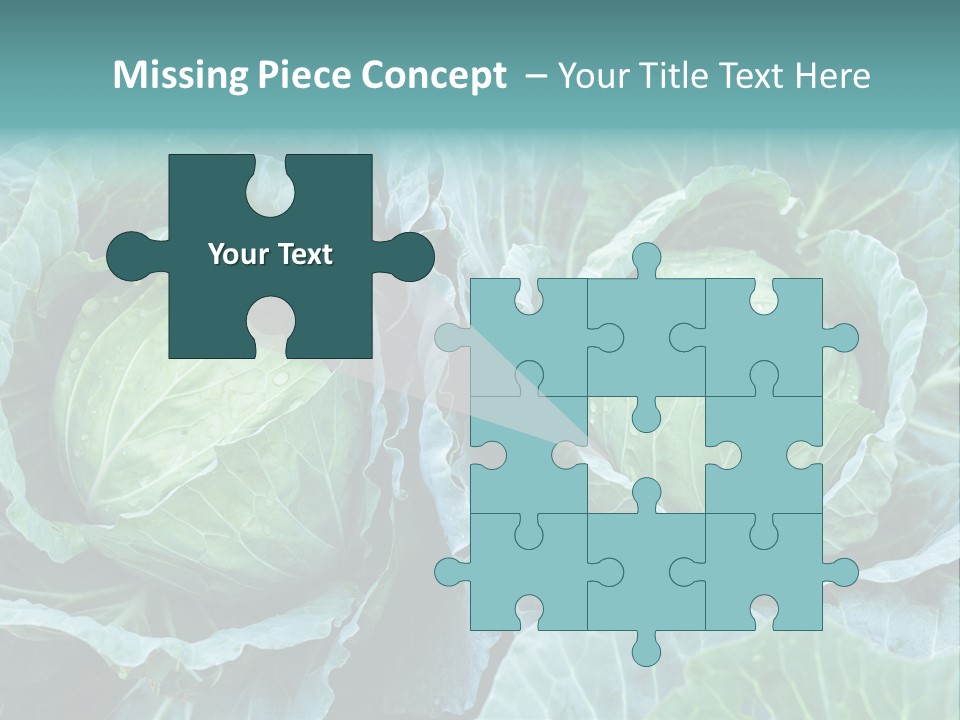 Cabbage Fresh Vegetable PowerPoint Template