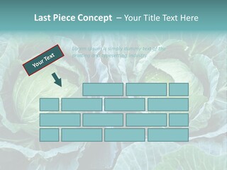 Cabbage Fresh Vegetable PowerPoint Template