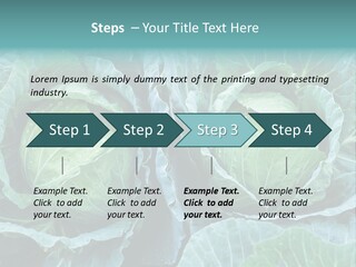 Cabbage Fresh Vegetable PowerPoint Template