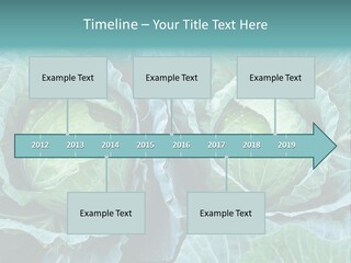 Cabbage Fresh Vegetable PowerPoint Template