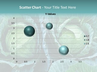 Cabbage Fresh Vegetable PowerPoint Template