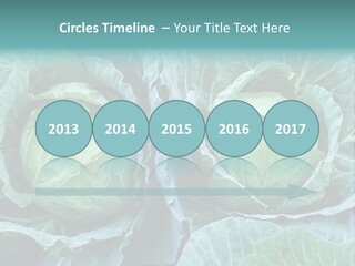 Cabbage Fresh Vegetable PowerPoint Template