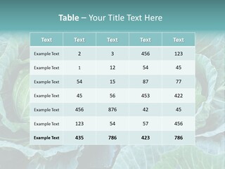 Cabbage Fresh Vegetable PowerPoint Template