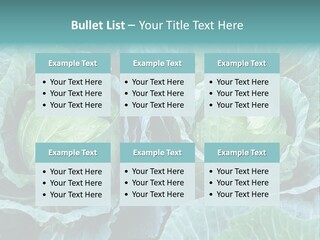 Cabbage Fresh Vegetable PowerPoint Template