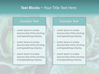 Cabbage Fresh Vegetable PowerPoint Template