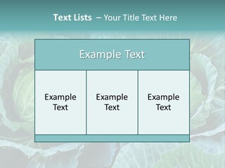 Cabbage Fresh Vegetable PowerPoint Template