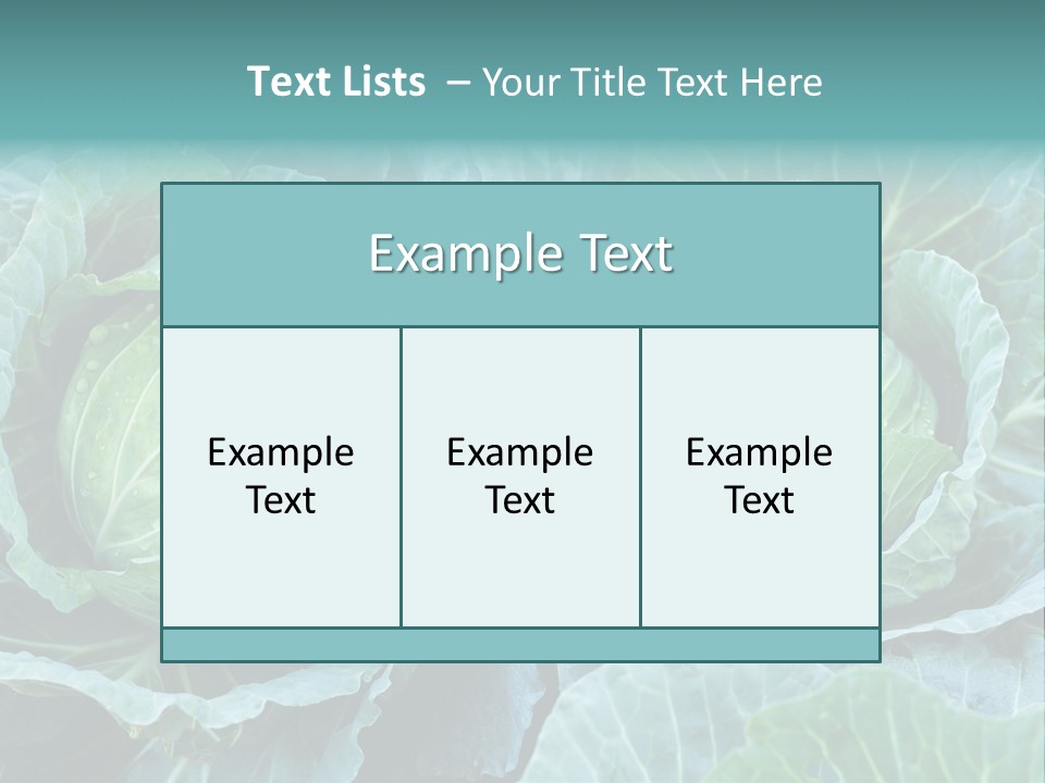 Cabbage Fresh Vegetable PowerPoint Template