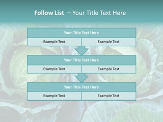 Cabbage Fresh Vegetable PowerPoint Template