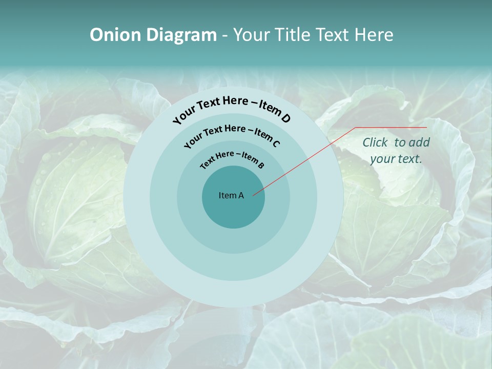 Cabbage Fresh Vegetable PowerPoint Template