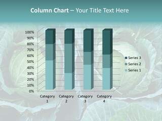 Cabbage Fresh Vegetable PowerPoint Template
