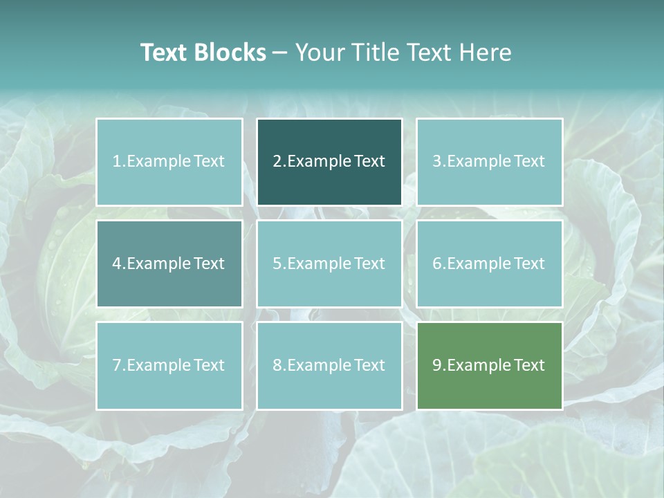 Cabbage Fresh Vegetable PowerPoint Template