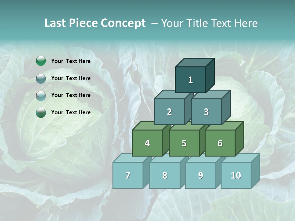 Cabbage Fresh Vegetable PowerPoint Template