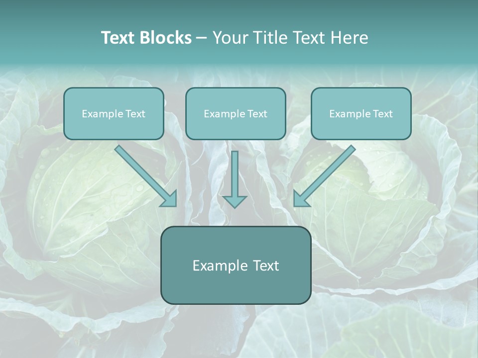 Cabbage Fresh Vegetable PowerPoint Template