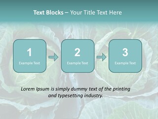 Cabbage Fresh Vegetable PowerPoint Template
