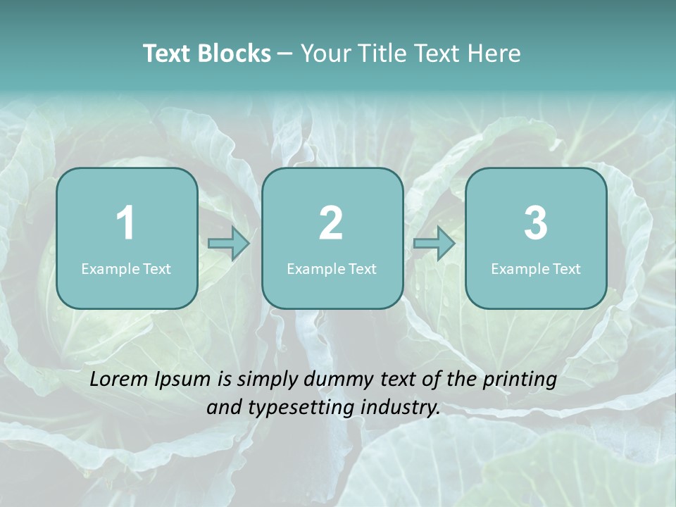 Cabbage Fresh Vegetable PowerPoint Template