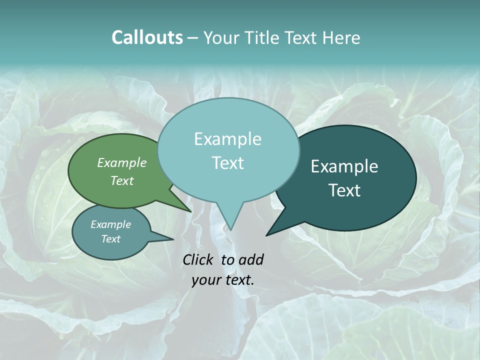 Cabbage Fresh Vegetable PowerPoint Template