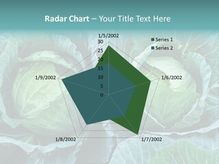 Cabbage Fresh Vegetable PowerPoint Template