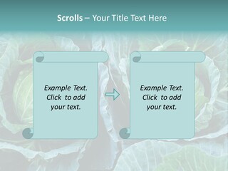 Cabbage Fresh Vegetable PowerPoint Template