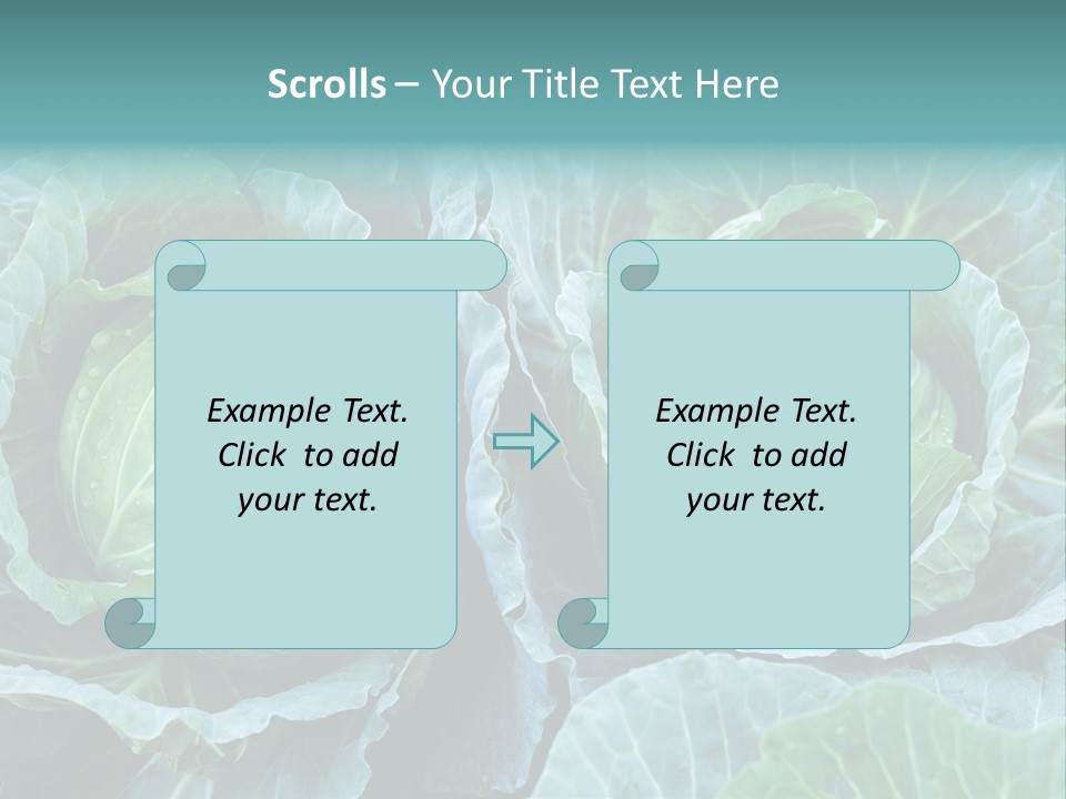 Cabbage Fresh Vegetable PowerPoint Template