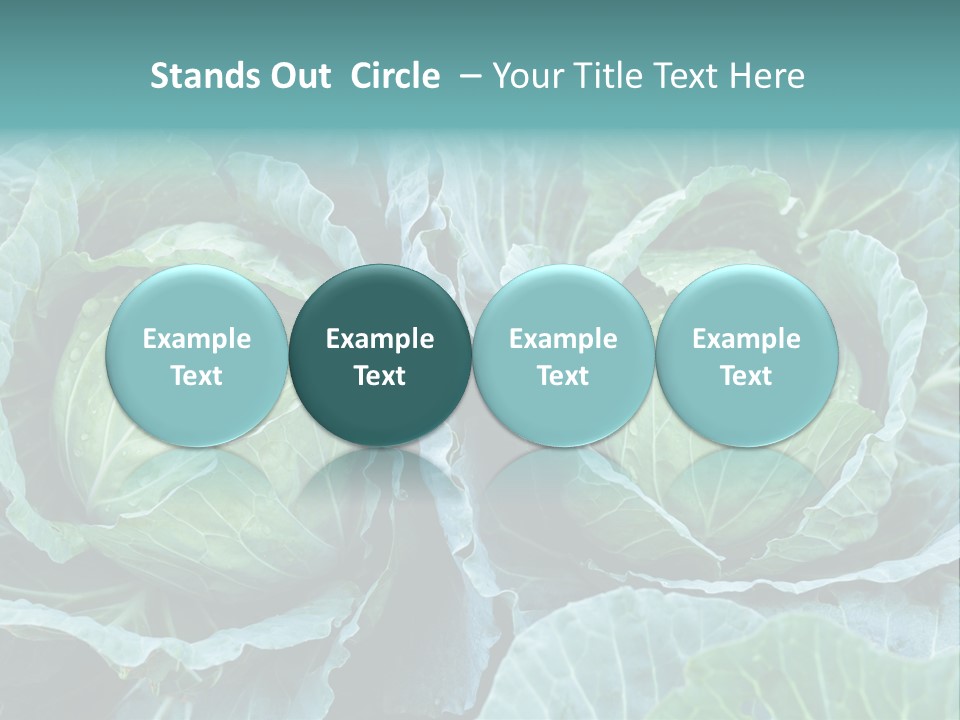 Cabbage Fresh Vegetable PowerPoint Template