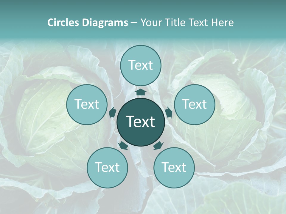 Cabbage Fresh Vegetable PowerPoint Template