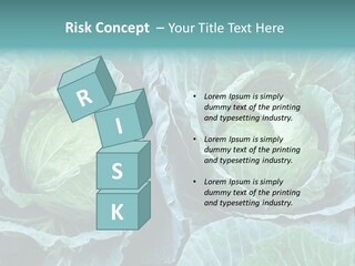 Cabbage Fresh Vegetable PowerPoint Template
