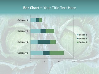 Cabbage Fresh Vegetable PowerPoint Template