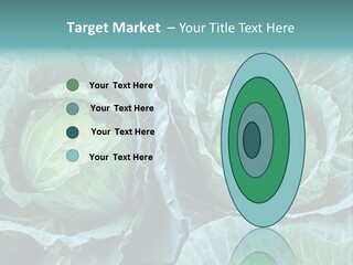 Cabbage Fresh Vegetable PowerPoint Template