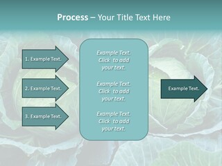 Cabbage Fresh Vegetable PowerPoint Template