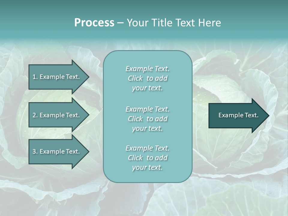 Cabbage Fresh Vegetable PowerPoint Template