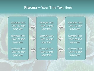 Cabbage Fresh Vegetable PowerPoint Template