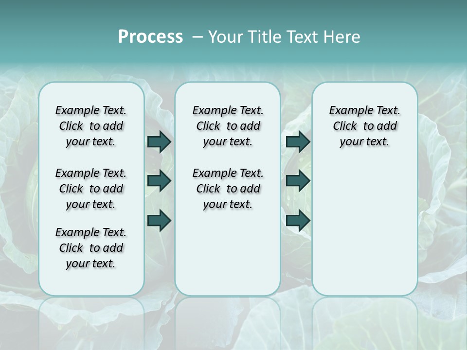 Cabbage Fresh Vegetable PowerPoint Template