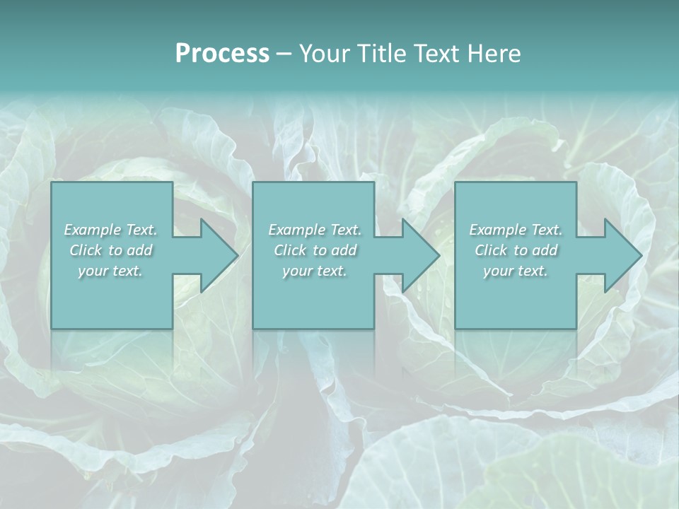 Cabbage Fresh Vegetable PowerPoint Template
