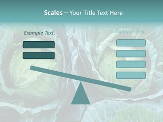 Cabbage Fresh Vegetable PowerPoint Template