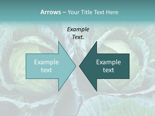 Cabbage Fresh Vegetable PowerPoint Template