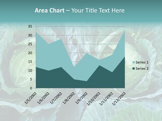 Cabbage Fresh Vegetable PowerPoint Template
