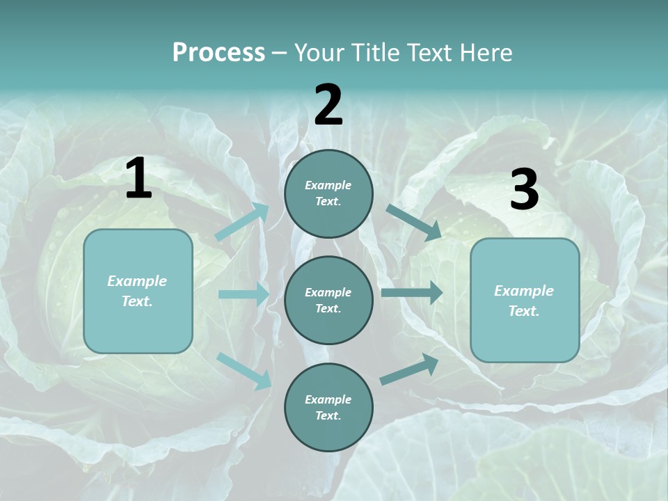 Cabbage Fresh Vegetable PowerPoint Template
