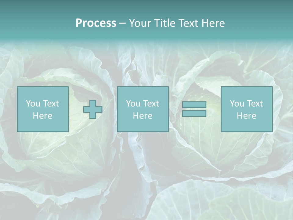 Cabbage Fresh Vegetable PowerPoint Template