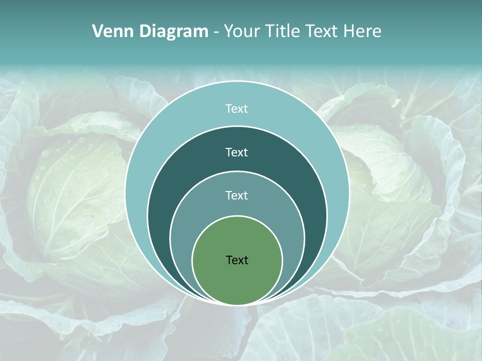 Cabbage Fresh Vegetable PowerPoint Template