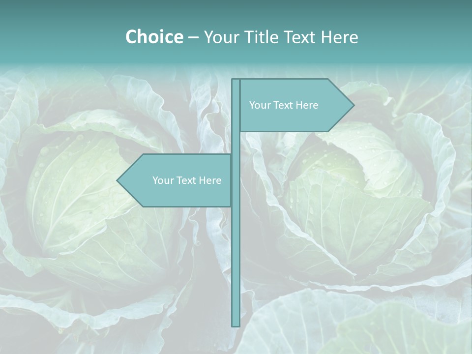 Cabbage Fresh Vegetable PowerPoint Template