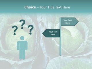 Cabbage Fresh Vegetable PowerPoint Template